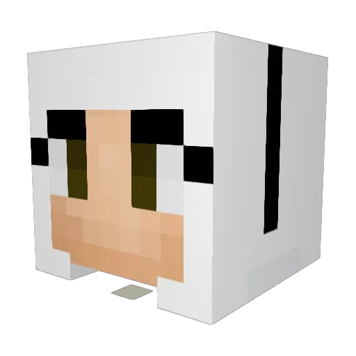 SalemWitch13 Minecraft avatar head, 3D render