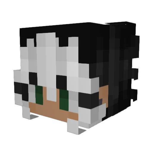 Salem_xyz Minecraft avatar head, 3D render