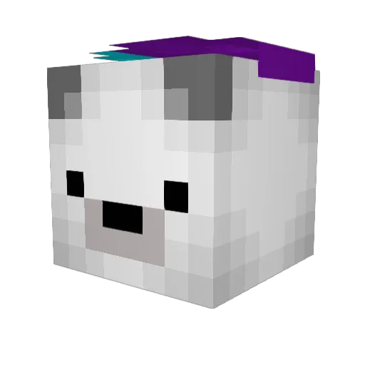 Salemishere Minecraft avatar head, 3D render