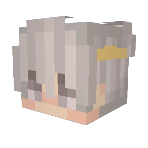 Salen_ Minecraft avatar head, 3D render
