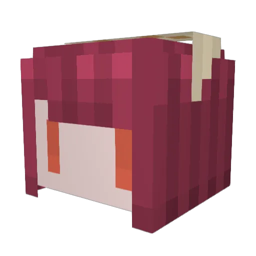 Saleoth Minecraft avatar head, 3D render
