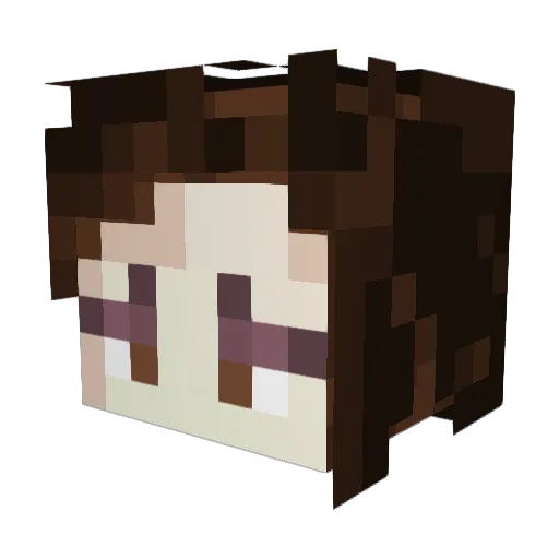 Salerin75 Minecraft avatar head, 3D render