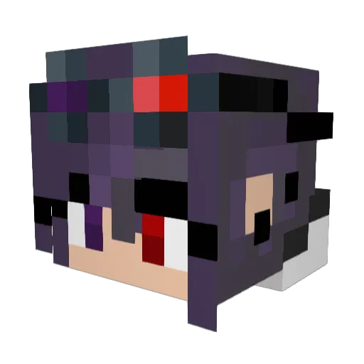 Salerz Minecraft avatar head, 3D render