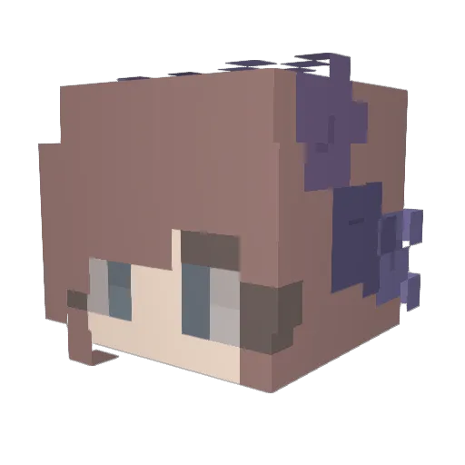Salevin Minecraft avatar head, 3D render