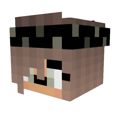 Salex200 Minecraft avatar head, 3D render