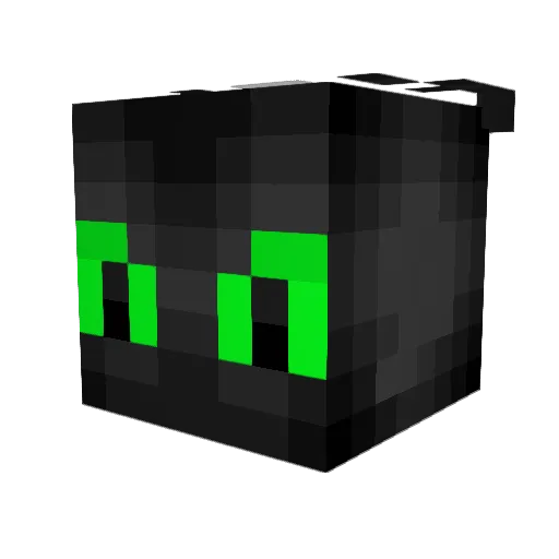 Salexis55 Minecraft avatar head, 3D render