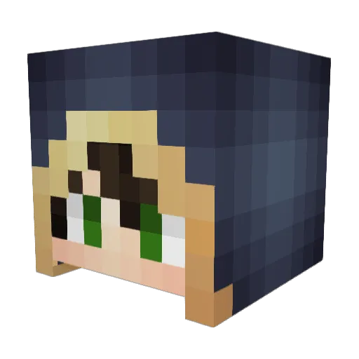 Salggking Minecraft avatar head, 3D render