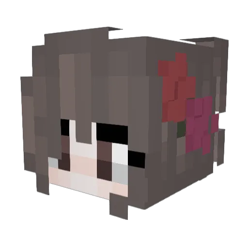 Salgicha Minecraft avatar head, 3D render