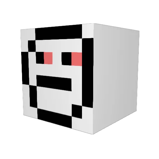SaliBonanii Minecraft avatar head, 3D render
