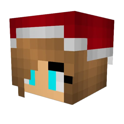 Salicilate Minecraft avatar head, 3D render