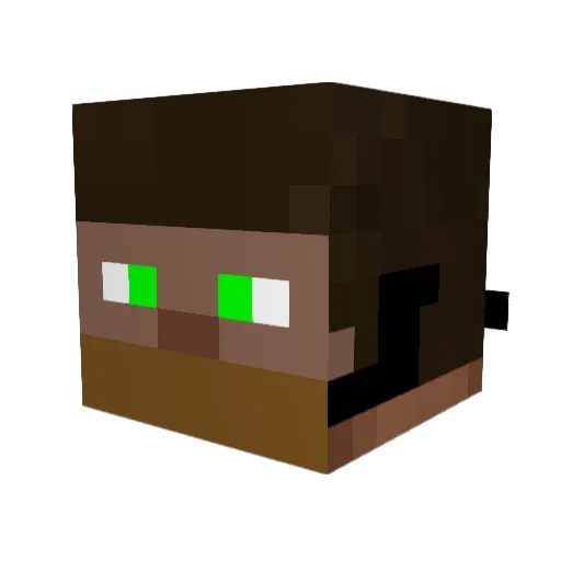 Salidin Minecraft avatar head, 3D render