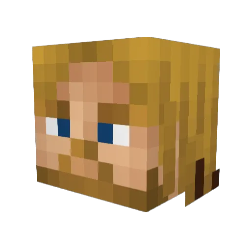 Salidov Minecraft avatar head, 3D render