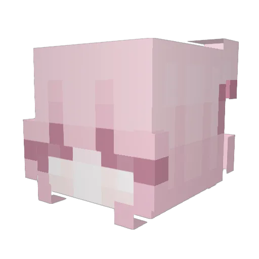 SalientJaguar69 Minecraft avatar head, 3D render