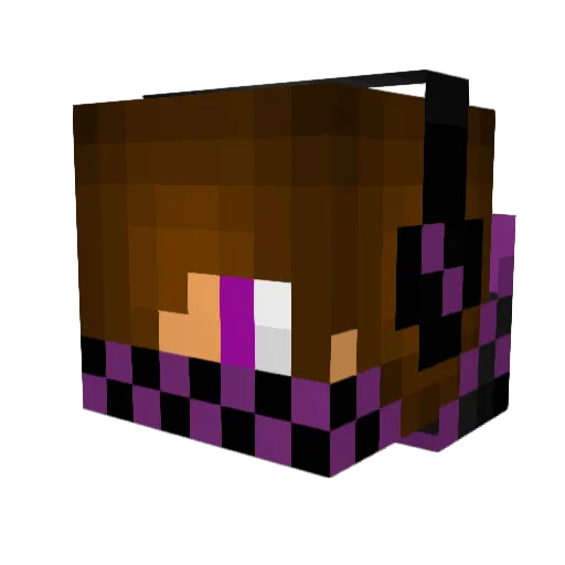 SalientWeevil Minecraft avatar head, 3D render