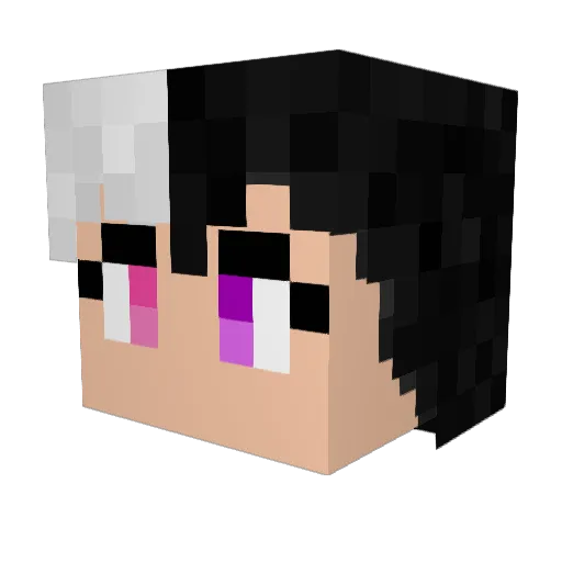 Salikino Minecraft avatar head, 3D render