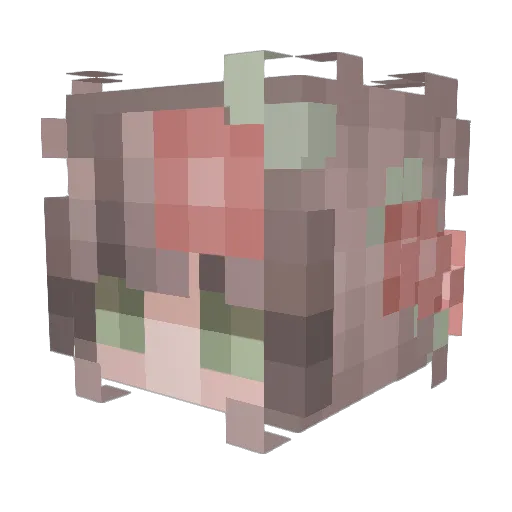 Salilii Minecraft avatar head, 3D render