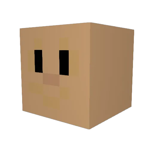 SalimAlCahvin Minecraft avatar head, 3D render