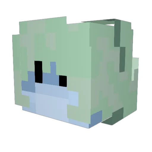 Salithin Minecraft avatar head, 3D render