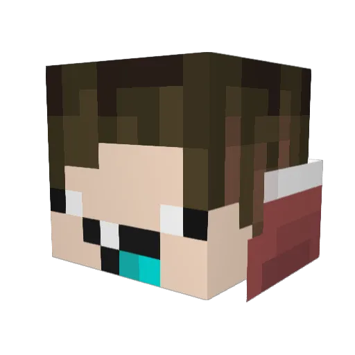 Saliva_cookie Minecraft avatar head, 3D render