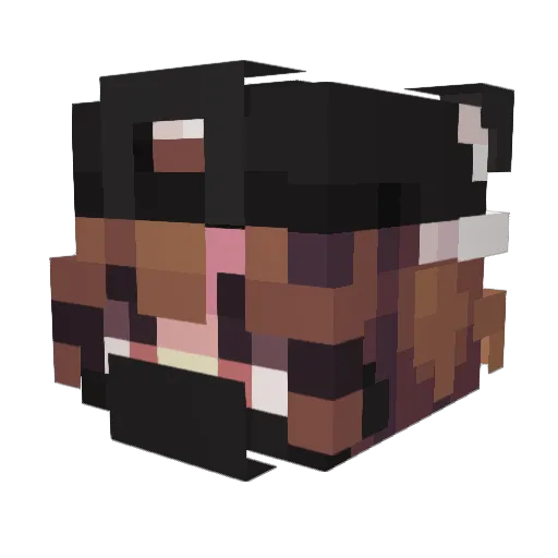 Salixri Minecraft avatar head, 3D render