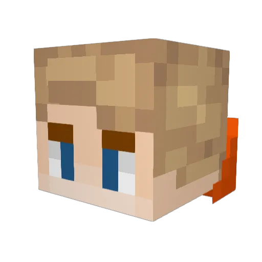 Salkin362 Minecraft avatar head, 3D render
