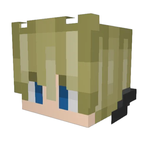 Salkin64 Minecraft avatar head, 3D render