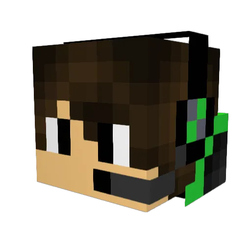 Salkin_2004 Minecraft avatar head, 3D render