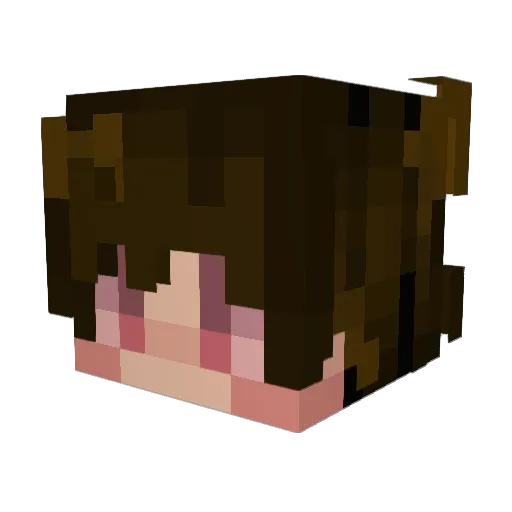 Salks_ Minecraft avatar head, 3D render