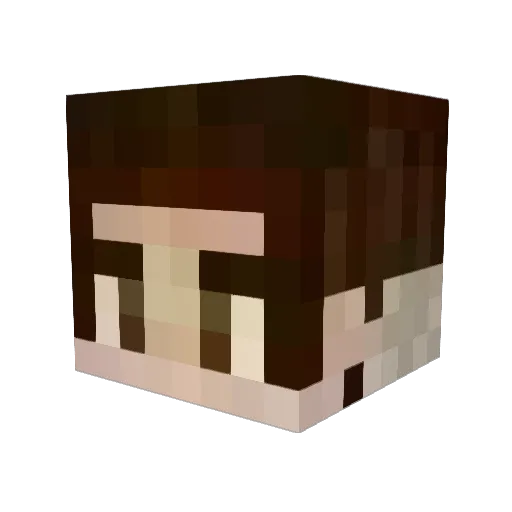 Salladsblad Minecraft avatar head, 3D render