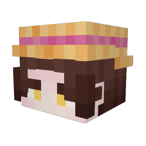 Sallarr Minecraft avatar head, 3D render