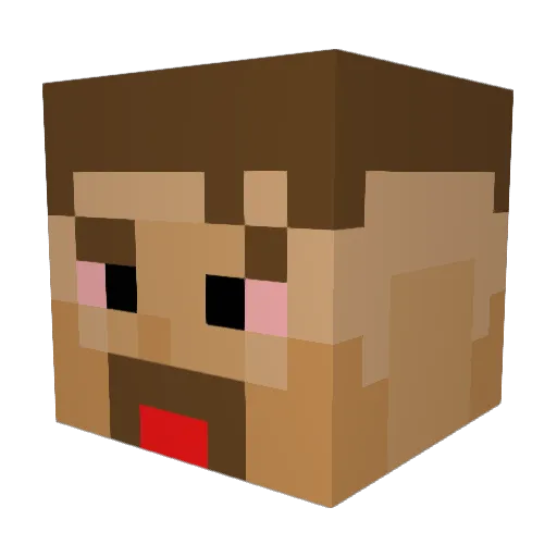 Sallee33 Minecraft avatar head, 3D render