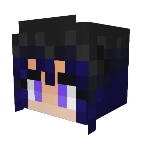 SallehXIII Minecraft avatar head, 3D render