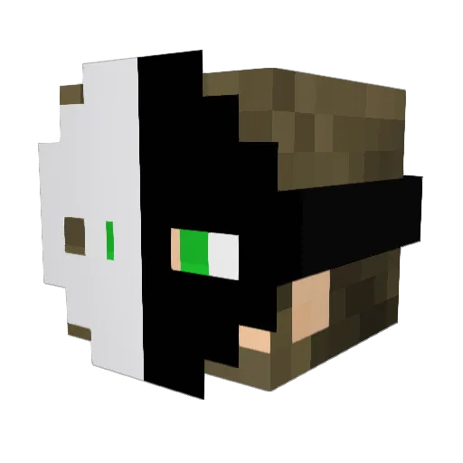 SallexGalaxy Minecraft avatar head, 3D render