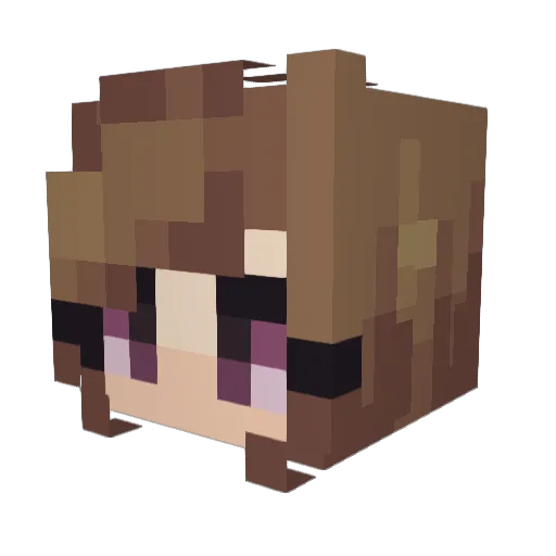 SallieXchan Minecraft avatar head, 3D render