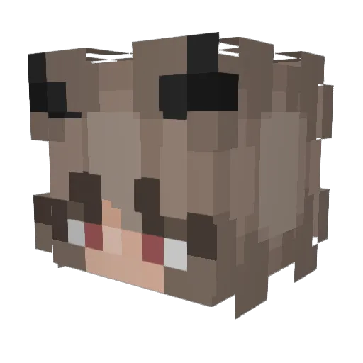 Salliee Minecraft avatar head, 3D render