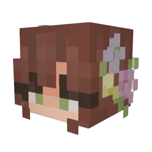 Salliefeefee Minecraft avatar head, 3D render