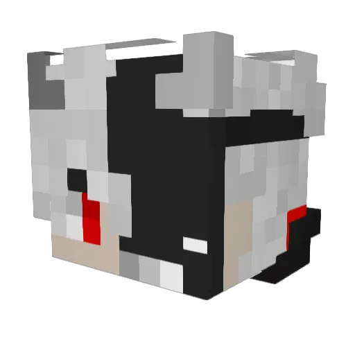 SallixXon Minecraft avatar head, 3D render