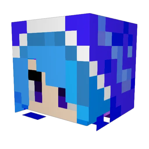 Sally2025 Minecraft avatar head, 3D render