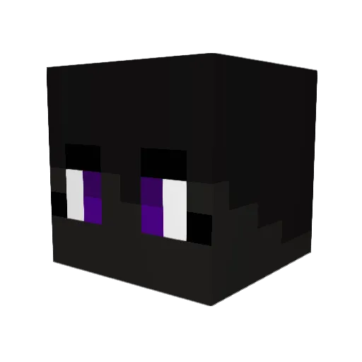 Sally41 Minecraft avatar head, 3D render