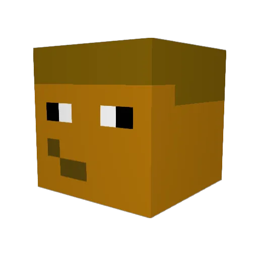 SallyAlva4 Minecraft avatar head, 3D render
