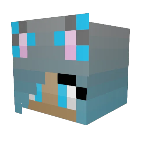 SallyCrystalia Minecraft avatar head, 3D render