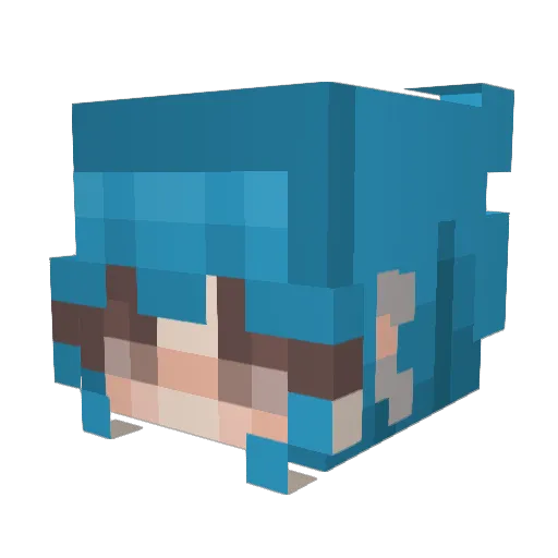 SallyFace8148 Minecraft avatar head, 3D render
