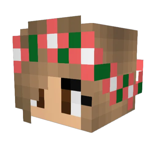 SallyGumDrop Minecraft avatar head, 3D render