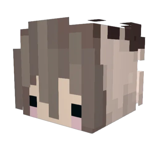 SallyRawr Minecraft avatar head, 3D render