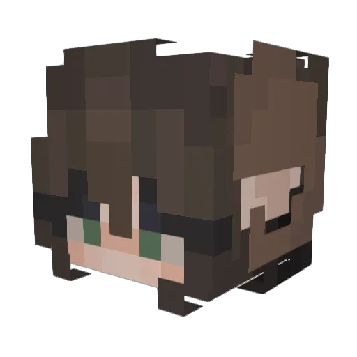 SallyTk4 Minecraft avatar head, 3D render