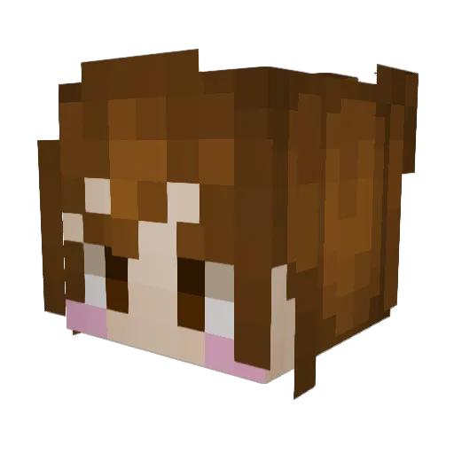 Sallydep Minecraft avatar head, 3D render