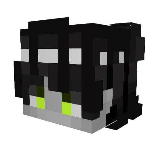 Salmaaaaaaa Minecraft avatar head, 3D render