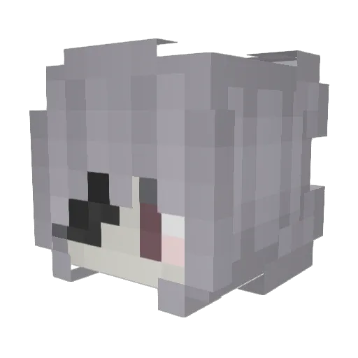Salmalaks Minecraft avatar head, 3D render