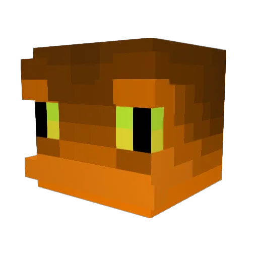 Salmandr_ Minecraft avatar head, 3D render