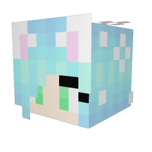 Salmc Minecraft avatar head, 3D render